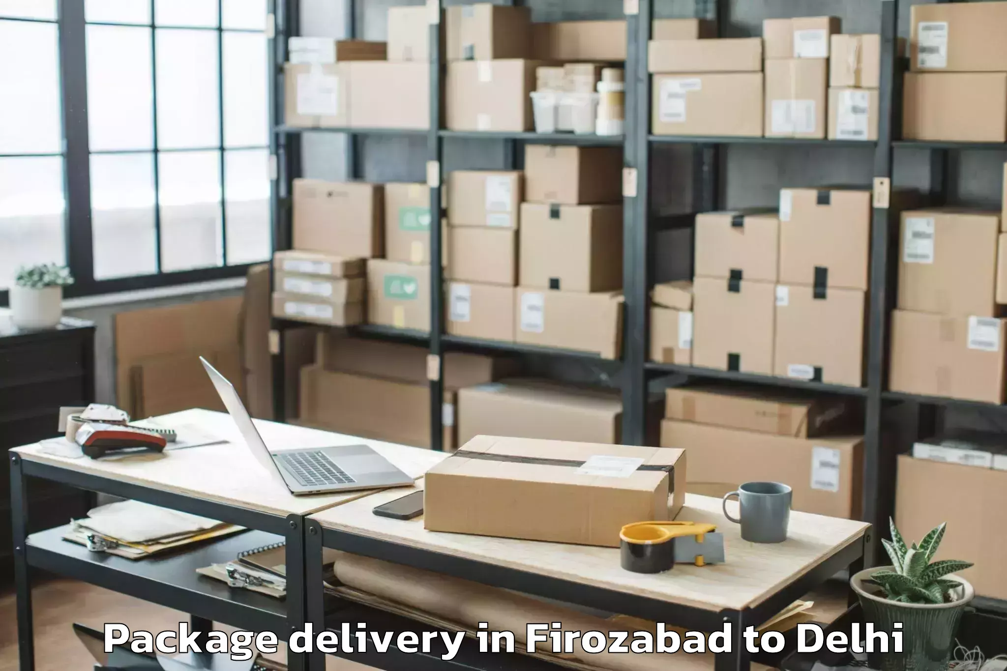 Top Firozabad to South Asian University New Del Package Delivery Available